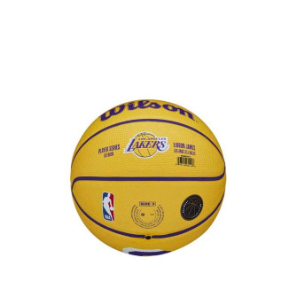 Wilson NBA Player Icon Mini Basketball ''LeBron James'' (3)