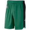 Nike Dry NBA Boston Celtics Practice Shorts ''Green''