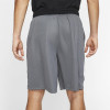 Nike Dri-FIT Shorts ''Iron Grey''