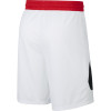 Nike Dri-FIT Swoosh Basketball Shorts ''White''
