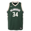 Nike Milwaukee Bucks Giannis Antetokounmpo Swingman Jersey ''Fir''