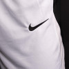Nike Team Basketball Shorts ''White''