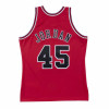 M&N Authentic Alternate Chicago Bulls Michael Jordan 1994-95 Jersey ''Scarlet''