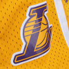 M&N Team Marble Swingman Los Angeles Lakers 2009 Shorts ''Yellow''