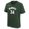 Nike NBA Icon Milwaukee Bucks Giannis Antetokounmpo Kids T-Shirt ''Fir''
