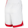 Nike NBA Brooklyn Nets Classic Edition Shorts ''White/Blue/Red''