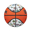 Wilson WNBA All Team Authentic Serie Outdoor Basketball (6)